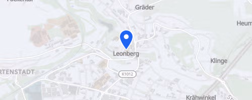 16. Citylauf Leonberg