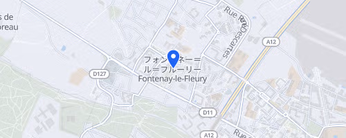 La course royale - Fontenay-le-Fleury