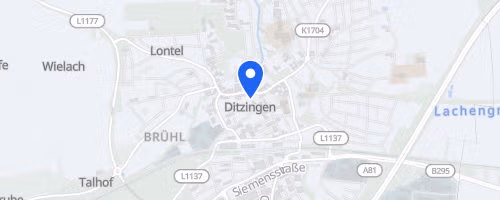2. Ditzinger Keltenlauf