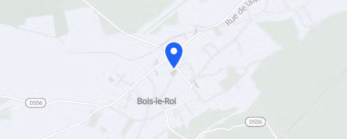 Sylver trail - Bois-le-Roi