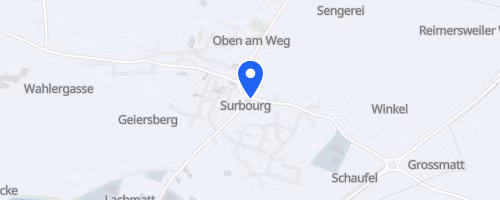 La surbourgeoise