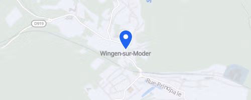 Lalique Moder Trail - Wingen Sur Moder