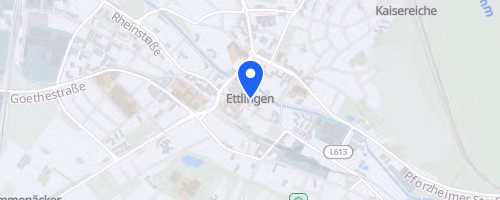 SWE Halbmarathon Ettlingen