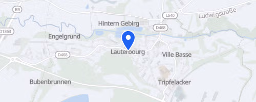Ronde des mouettes - Lauterbourg