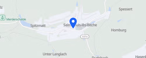 Foulées du cristal - Saint-Louis-lès-Bitche