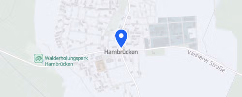 19. Hambrücker Lußhardtlauf