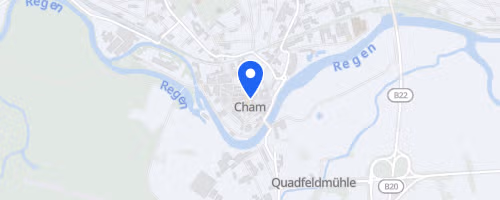 24. Chamer Stadtlauf mit 22. Halbmarathon