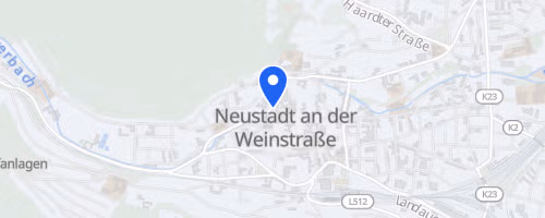 Neustadter Altstadtlauf