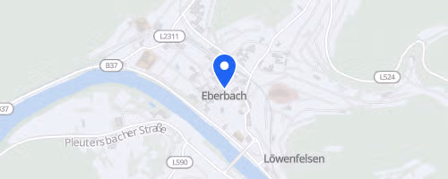 31. Eberbacher Sprint- und Jedermanntriathlon