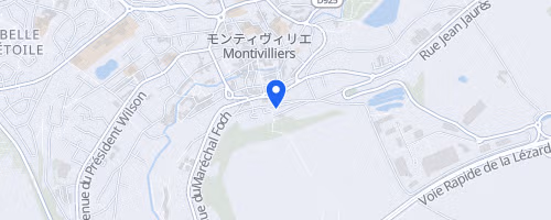 La cavalcade montivillone - Montivilliers