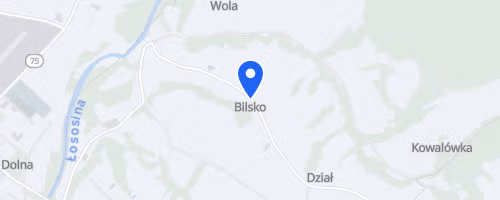 Łososiński Festiwal Biegowy 10km