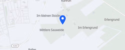 Fischerfestlauf Gernsheim