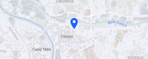 Cieszynski Fortuna Bieg Cieszyn