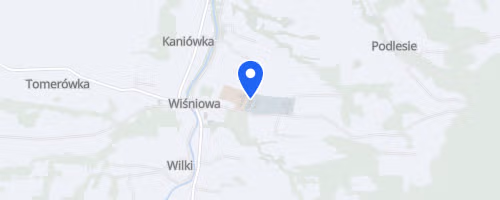 Festiwal biegowy im. K. Bubuli - Wiśniowa RUN