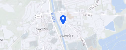 IX Skoczowski Bieg Niepodleglosci