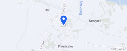 Bieg Przeciszowski
