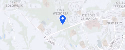 Wodzislawski Duathlon