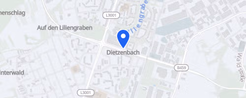 Lions - Dietzenbacher Stadtlauf 2026