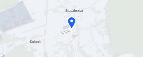 Bieg "śladami Żubra"
