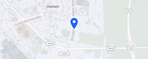 48. Hausener Volks-Waldlauf (TGS-Hausen)