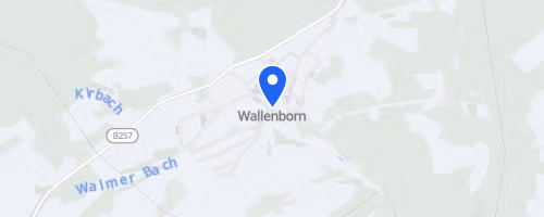 20.Int. Brubbellauf