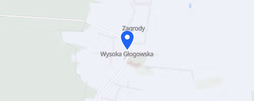 Wysocka 5