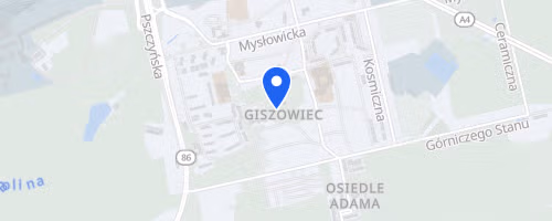 Festiwal Sportowy na Giszowcu