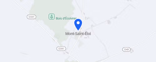 Foulées des Tours de Mont Saint Eloi