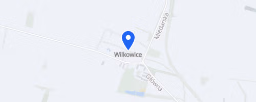 Bieg o Złotą Szyszkę