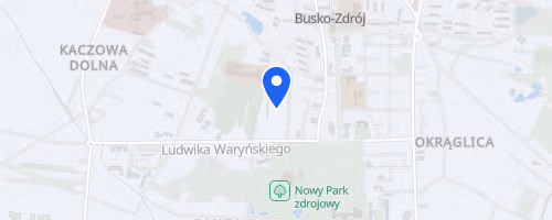 Półmaraton Buski