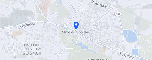 XXXV Strzelecki Bieg Uliczny im. Euzebiusza Ferta