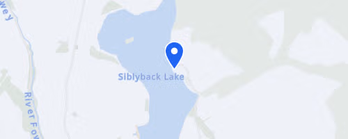 Gecko Gathering Siblyback Lake