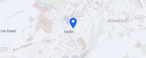 Les foulées collégiales - Seclin