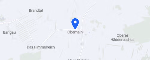 BarigauerTurmLauf