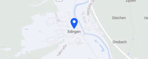 TVE-Sommerlauf Edingen-Neckarhausen