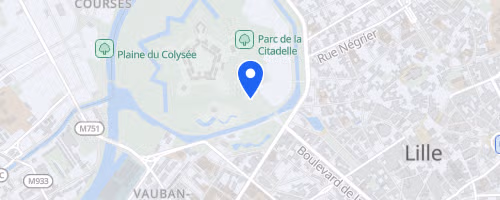Foulées des Fiertés - Lille