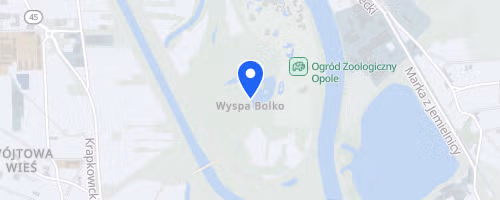 Charytatywny Bieg Z Żonkilem