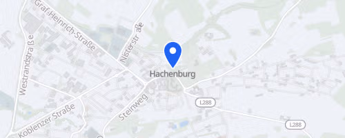 40. Hachenburger Löwenlauf