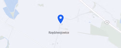 Bieg Po Kwiat Paproci