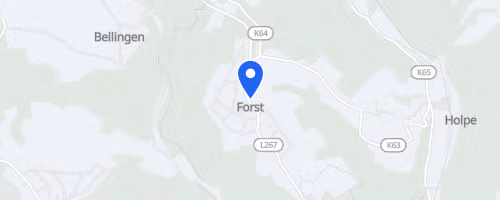 Forster Rosen-Pokal-Lauf