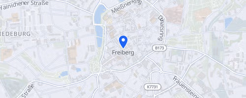 14. Freiberger Bürgerfestlauf