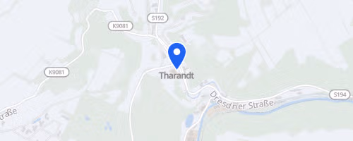 Backyard Ultra-Marathon Tharandter Wald