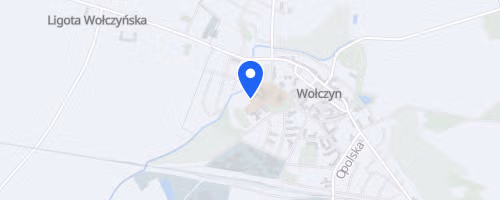 Bieg o Puchar Burmistrza Wołczyna