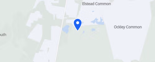 Thursley Common 10km - July