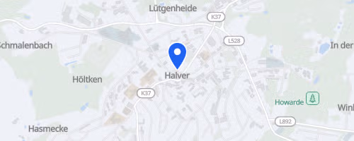 12. Halveraner Herbstlauf