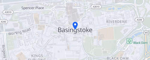 Basingstoke Summer Running Festival
