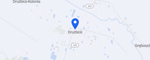 Bieg Św. Dominika - Drużbice