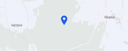 Bieg Pamięci Tomasza Wasilewskiego