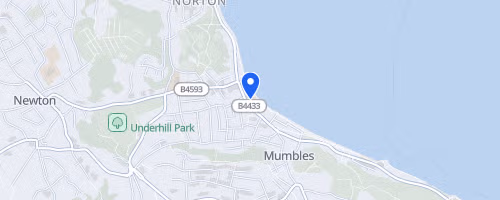 The Great Christmas Fun Run