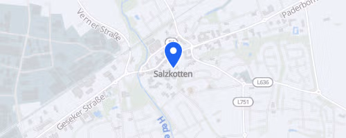 17. Klingenthal Salzkotten Marathon
